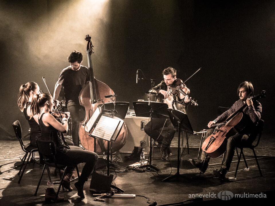 Best ofWooden Elephant – Festivalzentrum, 26.06.2026